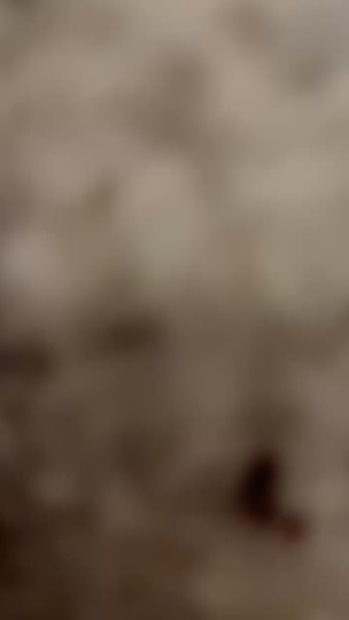 Baja/Rock style light cover